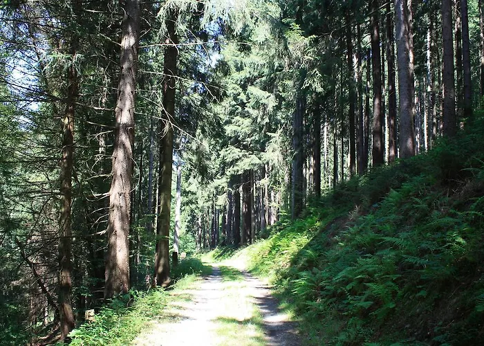 Maison d'hôtes Droste- Vogt