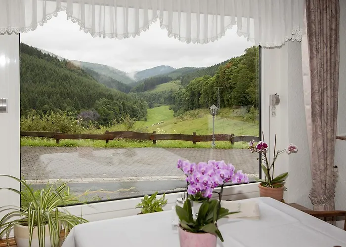 Droste- Vogt Πανσιόν