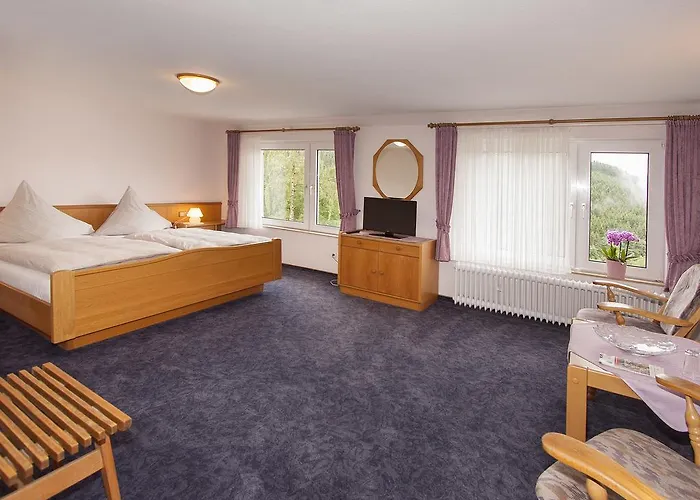 Πανσιόν Droste- Vogt Schmallenberg